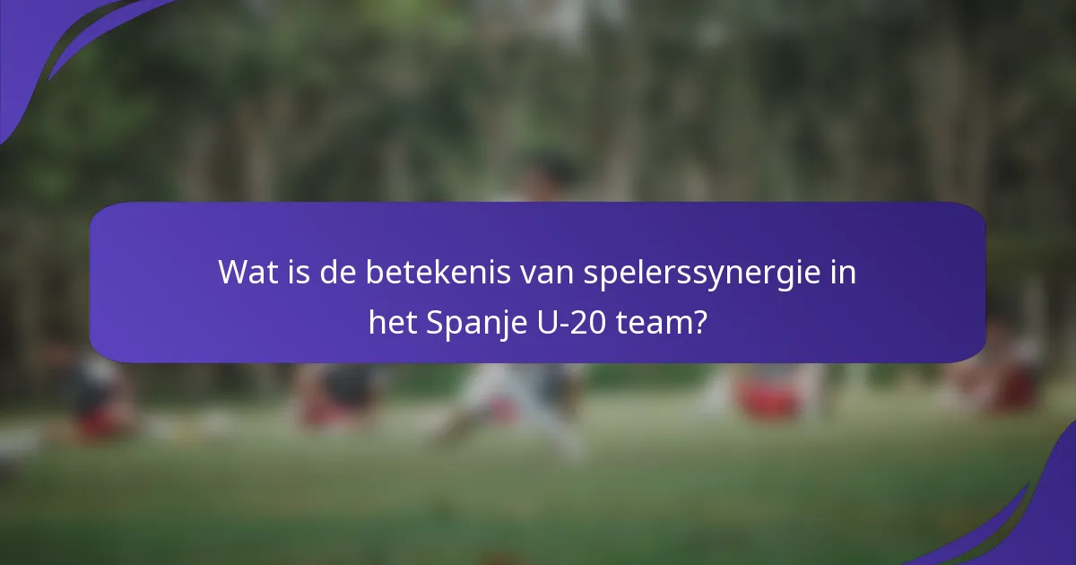 Wat is de betekenis van spelerssynergie in het Spanje U-20 team?