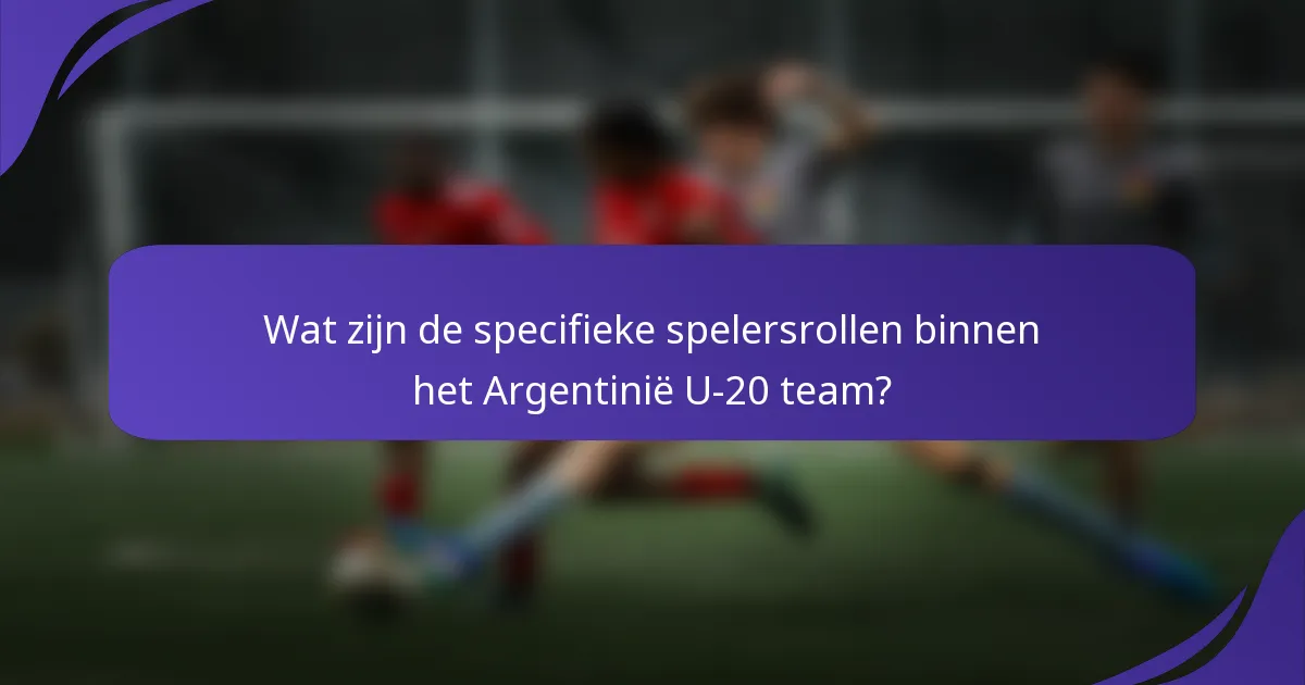 Wat zijn de specifieke spelersrollen binnen het Argentinië U-20 team?